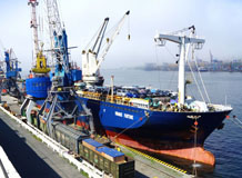 Модернизация Диомидовского рыбного порта во Владивостоке